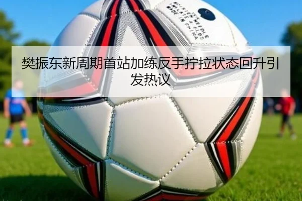 樊振东新周期首站加练反手拧拉状态回升引发热议